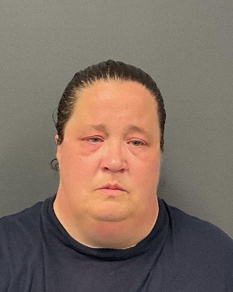 Rebecca Lynn Blake Clay County Jail booking photo