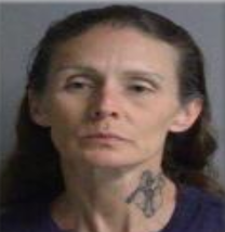 Amanda Chernugal booking photo