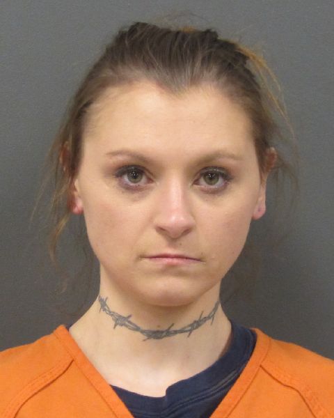 Sarah Anne Daugherty booking photo
