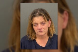 Theresa Ann Erickson