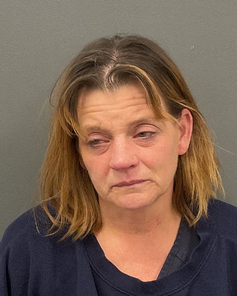 Theresa Ann Erickson