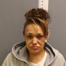 Terri Lynn Fajardo mugshot