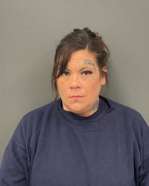 Mugshot of Nina Christina Foss