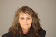 Angela Elizabeth Flink booking photo