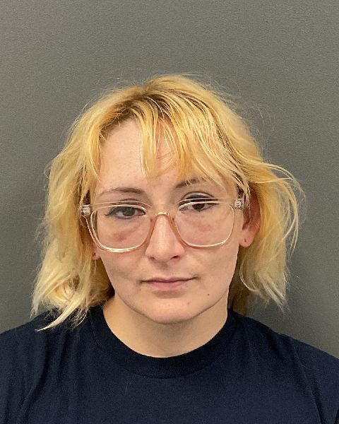 Brilynn Marie Lingen Clay County Jail booking photo