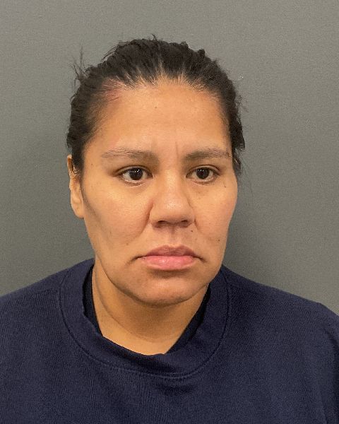 Clay County booking photo of Laura Lynn Shearer