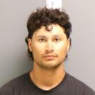 Booking photo of Gabrio Gerardo Stark