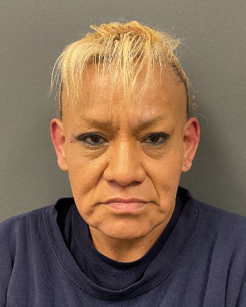 Kelly Marie Touche booking photo