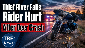 Thief River Falls Rider Hits Deer on Highway 32