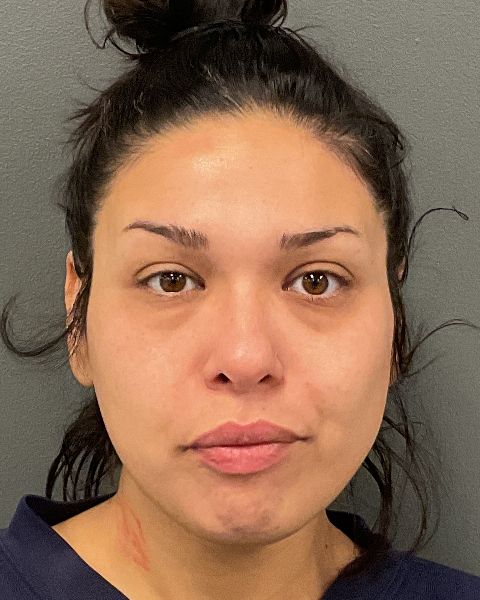 Alicia Lizzett Alaniz mugshot