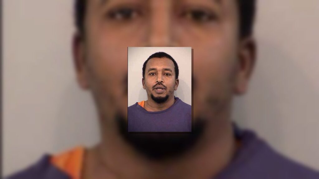 Mohamed Zerfu Alemu