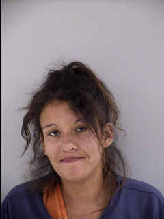 Cara Barbara Briggs Polk County booking photo