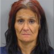 Jeannette Ellis booking photo