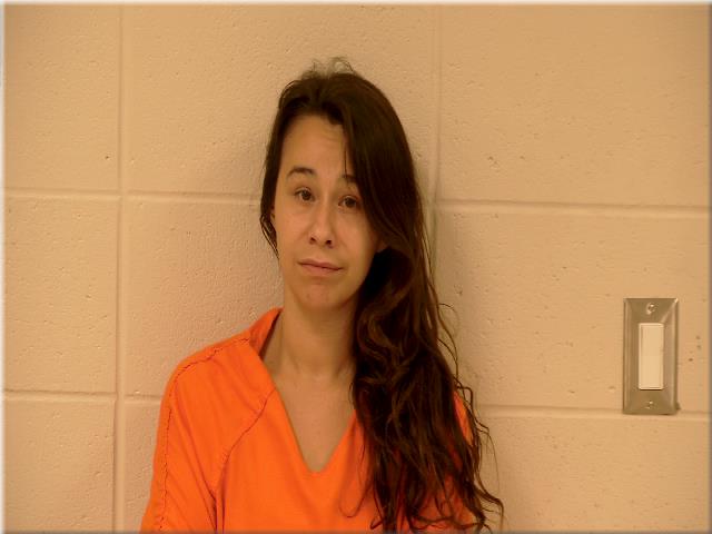 Taylor Nevitt booking image