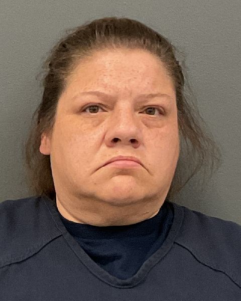 Krystal Marie Bevins mugshot