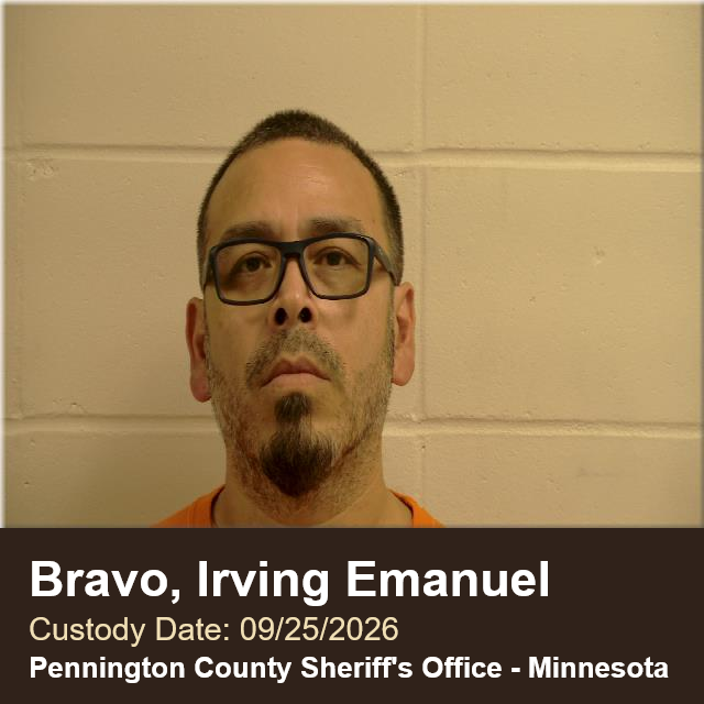 Irving Emanuel Bravo booking photo