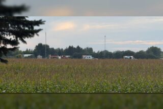 Fatal Head On Crash By Thief River Falls