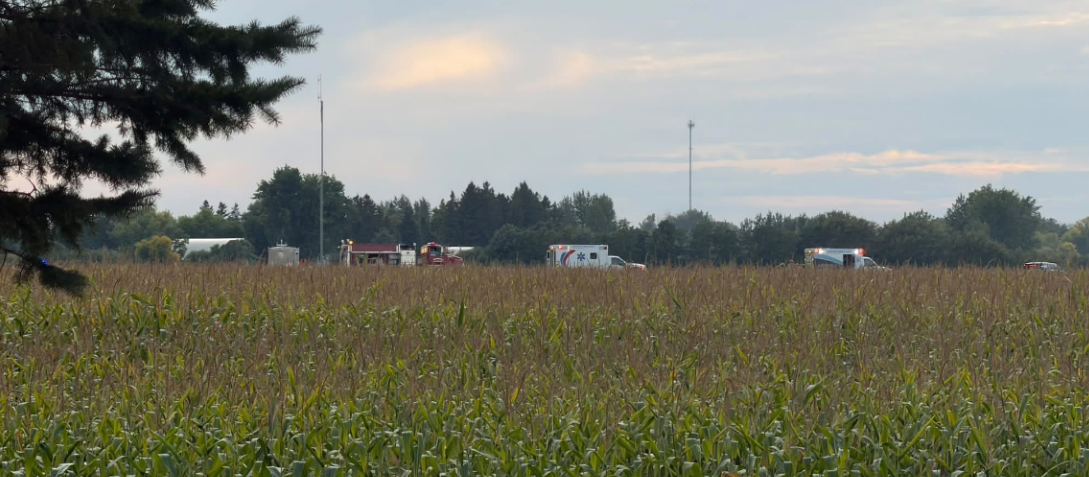 Fatal Head On Crash By Thief River Falls