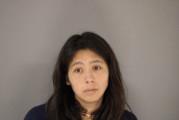 Michelle Lynn Littlewolf mugshot