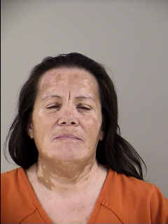 Irma Salinas mugshot
