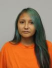 Tiffany Tucker-Spears mugshot