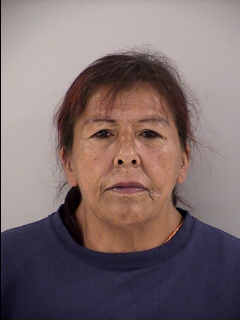 Michelle Joy Wadena booking photo
