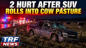 Falk Township SUV Rolls Into Cow Pasture, Injures 2