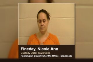 Nicole Ann Fineday