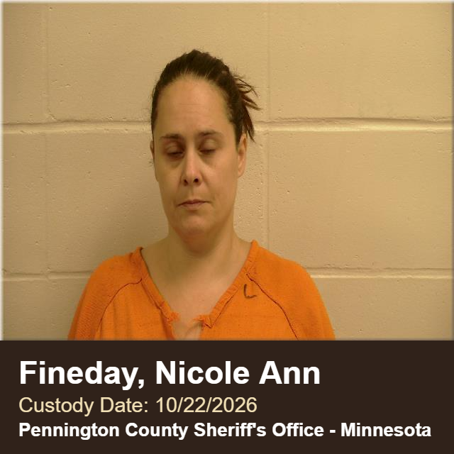 Nicole Ann Fineday