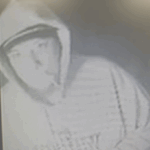 Marshall County Deputies Seek Man, Vehicle and Dog
