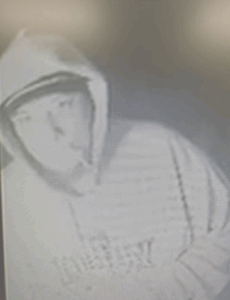 Marshall County Deputies Seek Man, Vehicle and Dog