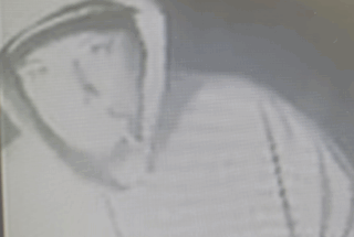 Marshall County Deputies Seek Man, Vehicle and Dog