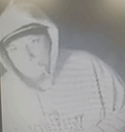 Marshall County Deputies Seek Man, Vehicle and Dog