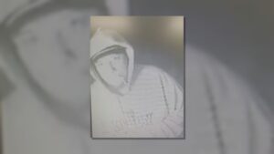 Marshall County Deputies Seek Man, Vehicle and Dog