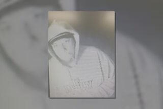 Marshall County Deputies Seek Man, Vehicle and Dog