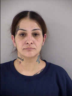 Verified booking photograph of Irene Ramos Negron